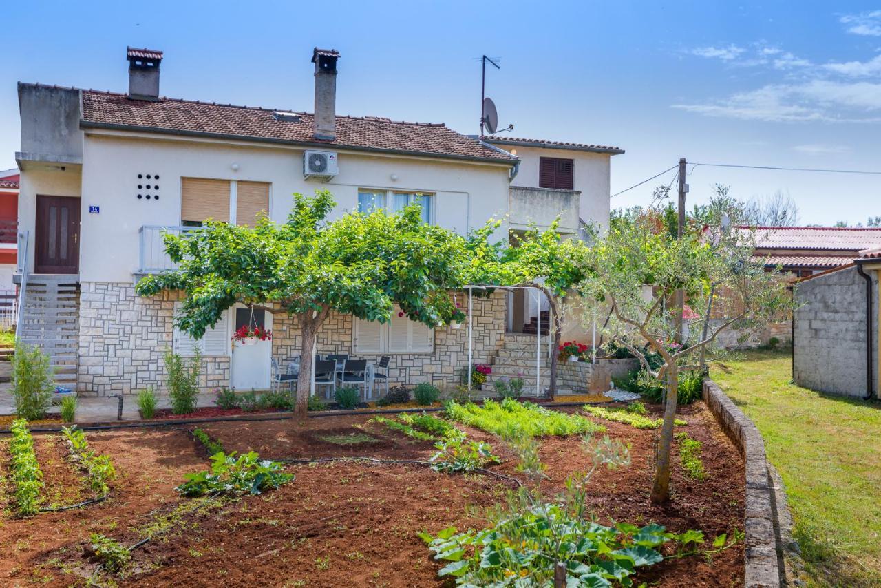 Apartment Tesic Close To The Sea With Shared 4Xbicycles Fažana Esterno foto
