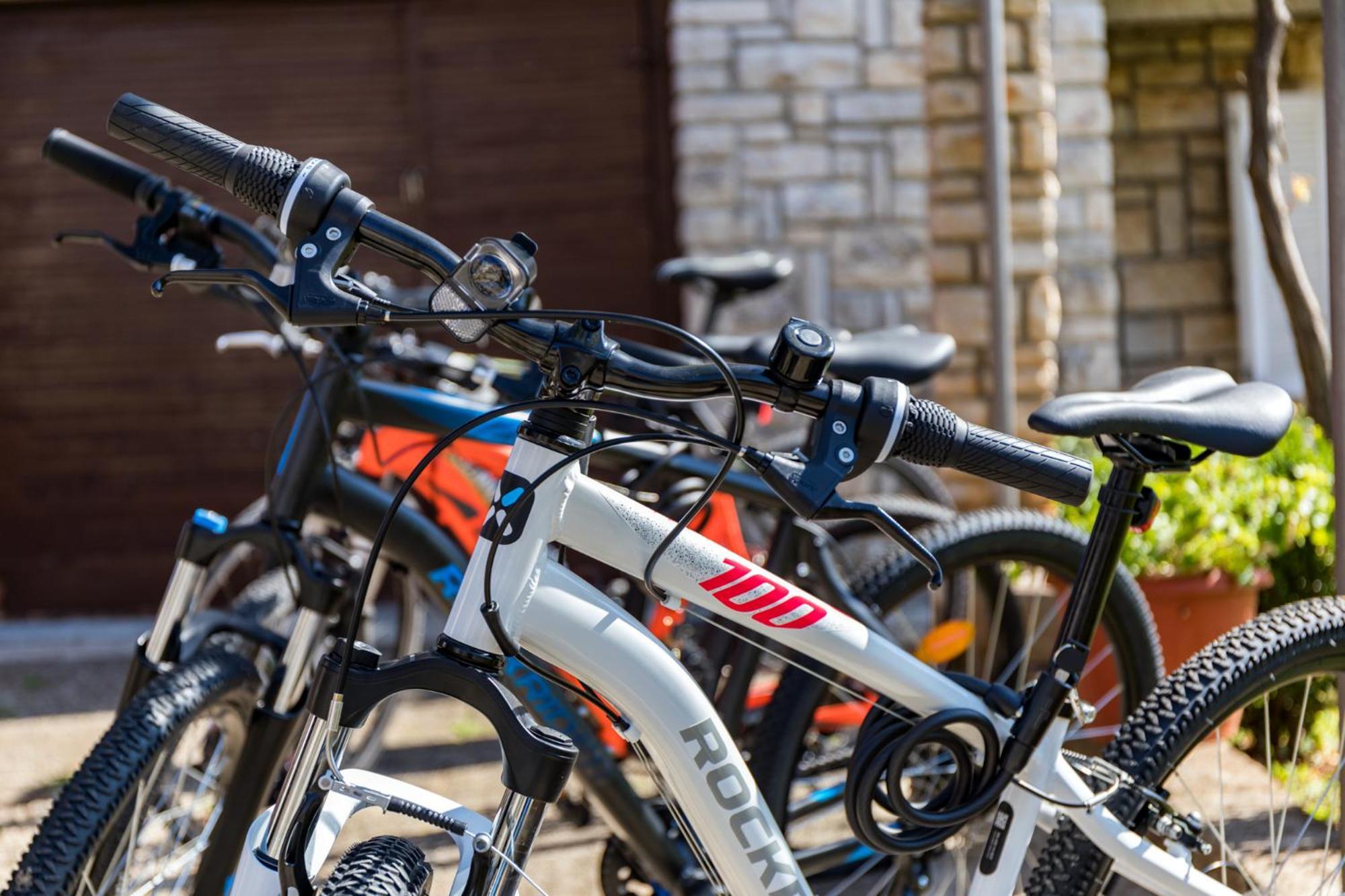 Apartment Tesic Close To The Sea With Shared 4Xbicycles Fažana Esterno foto
