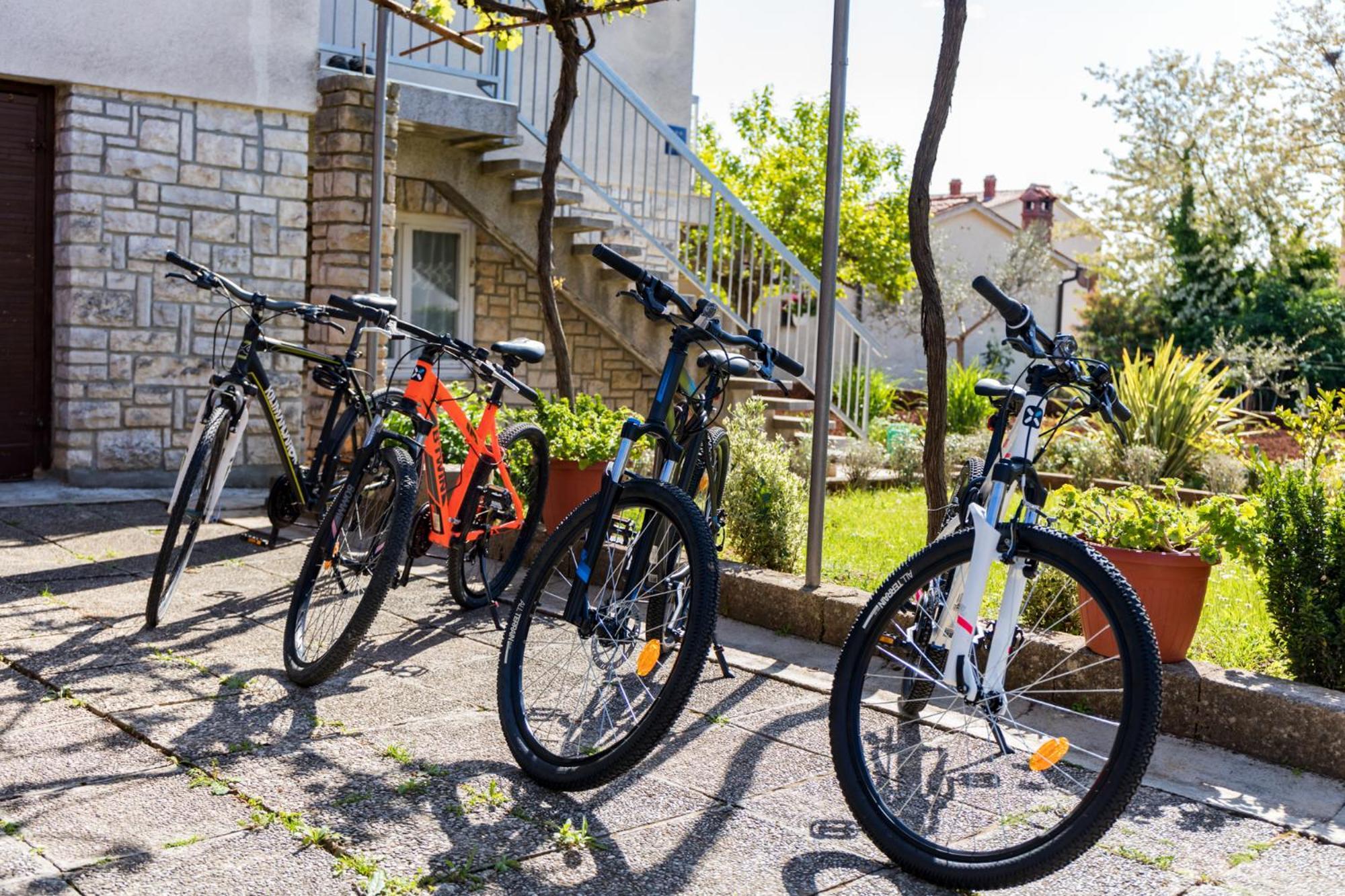 Apartment Tesic Close To The Sea With Shared 4Xbicycles Fažana Esterno foto