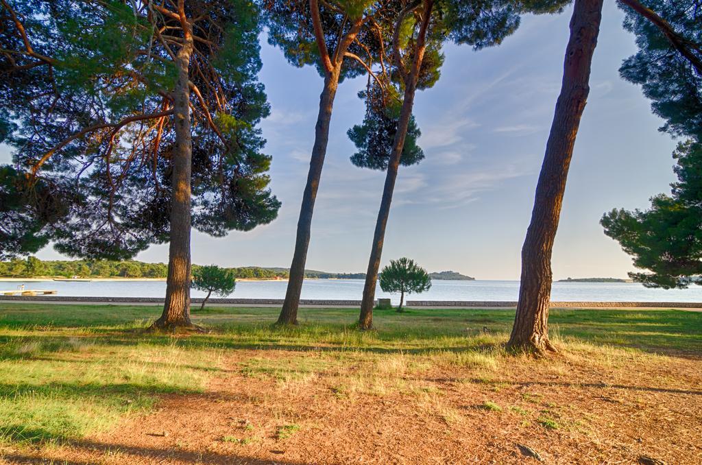 Apartment Tesic Close To The Sea With Shared 4Xbicycles Fažana Esterno foto